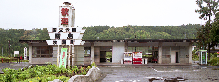 ���������w