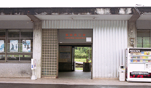 ���������w