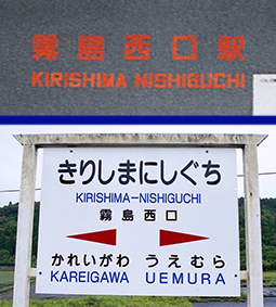 ���������w