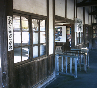 �������w