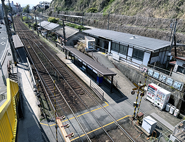 �w�h����� �쎭�����w