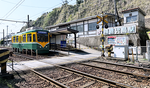 �w�h����� �쎭�����w