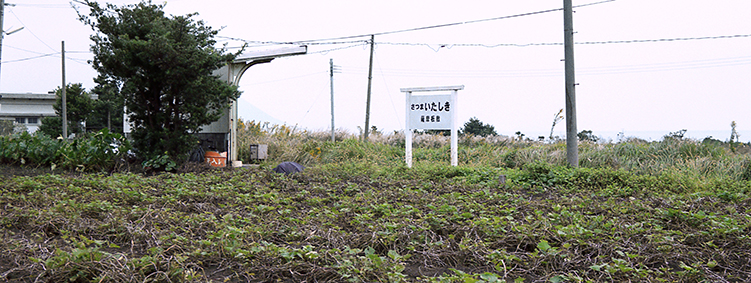 �F���~�w