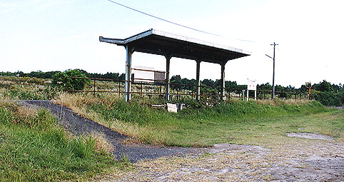 �F�������w