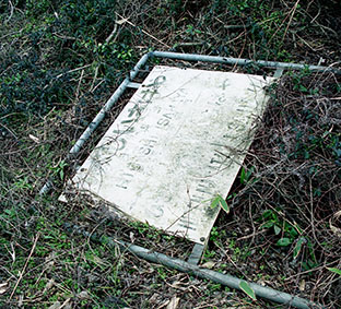 ���|���w ���w��