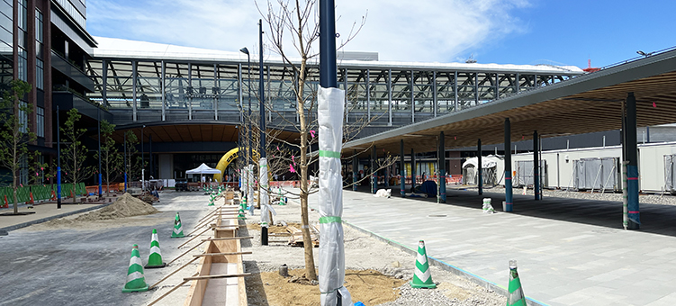 ����� ����w