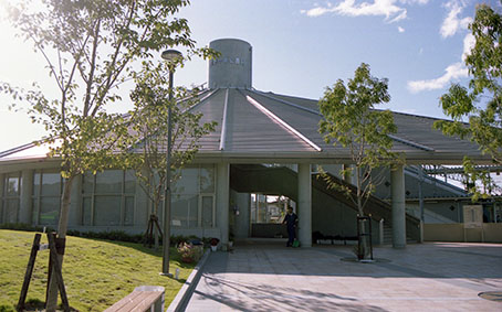 �g��P�������w