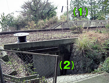 �������w