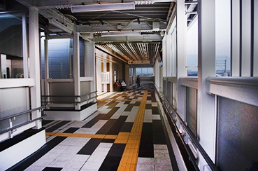 �������Z�O�w