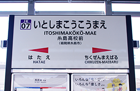 �������Z�O�w