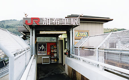 ���z���w