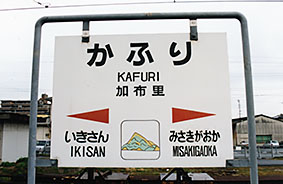 ���z���w