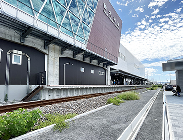 �呺�� �V�呺�w