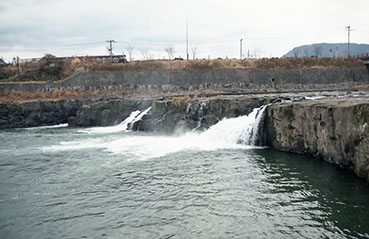 �k�R�c�w�E�O�����̑�