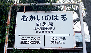 ���V���w