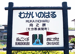 ���V���w