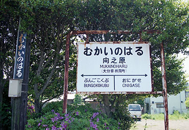 ���V���w