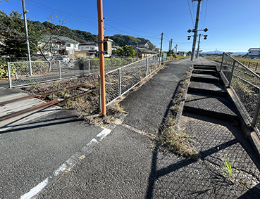 �v��� �����w