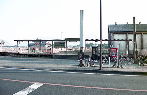 �������̑��w