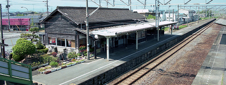 �L�O�P�����w