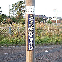 �L�O�P�����w