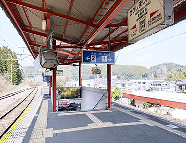 ���L�� �����_�{�w