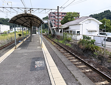 ���L�� �����w