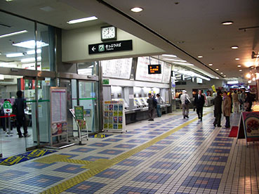 �啪�w���w