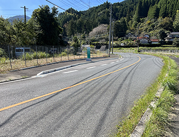 �Ђ��ڂ����C�� �������w