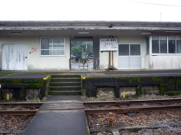 ���������w