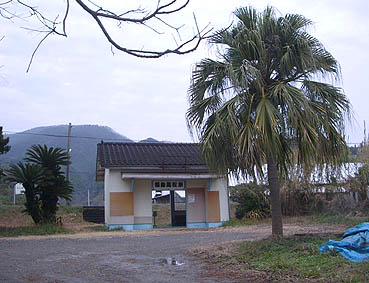 ���������w