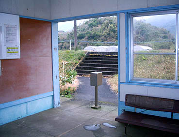 ���������w