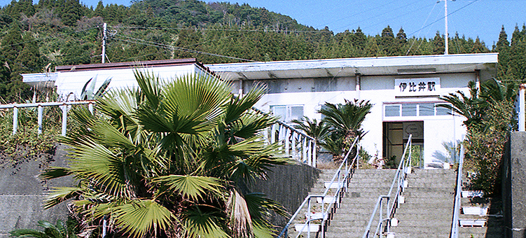 ����� �ɔ��w