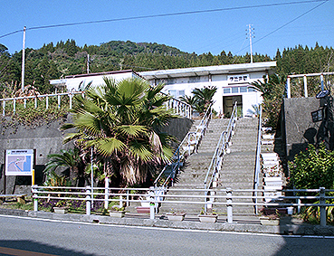 ����� �ɔ��w