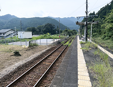 ����� �ɔ��w