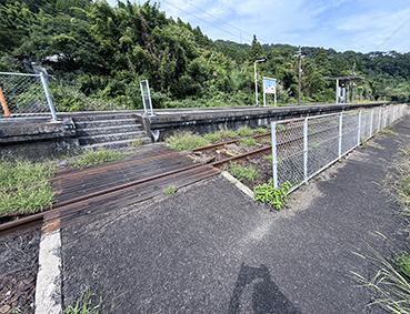 ����� �ɔ��w