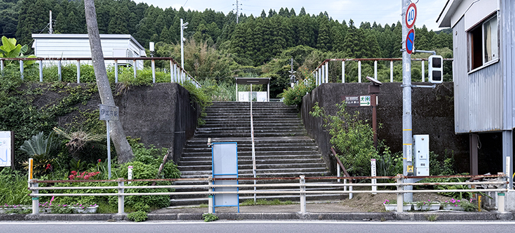 ����� �ɔ��w