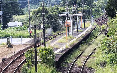 ����� �ɔ��w