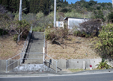 �����C�w