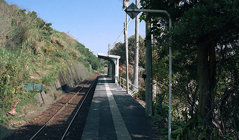 �����C�w