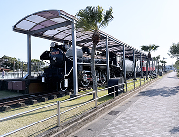 ����� �u�z�u�w