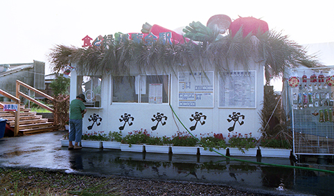 �H�ƗΔ�����w