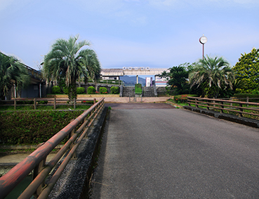 �^�������w