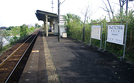 �^�������w