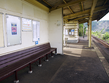 �^�������w