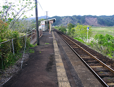 �^�������w