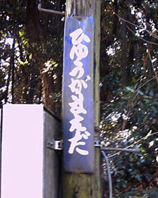 �����O�c�w