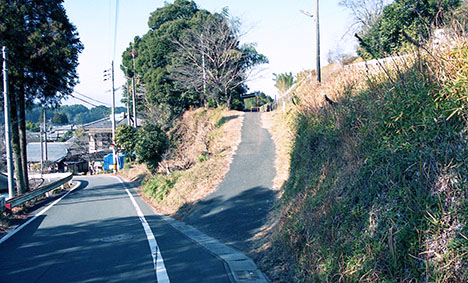 �����O�c�w