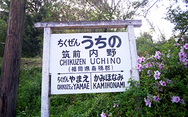 �}�O����w���w��