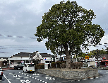 �}�L�� ���ԉw